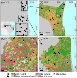 Location of the study regions and shaded cocoa agroforests in southern Bahia state, Brazil (A). We surveyed 10, 9, and 10 agroforests in regions with intermediate (B) high (C) and low-deforestation levels (D), respectively.