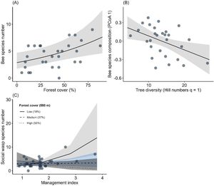 Effect of predictor variables on the number of species of bees and social wasps in shaded cocoa agroforests in southern Bahia, in the Brazilian Atlantic Forest. We only show relationships from the selected models, shown in Table 1. In panel C, low (19%), medium (37%), and high (55%) values correspond to the first, second, and third quartiles, respectively, of forest cover in the landscape.