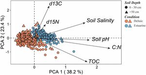 Principal Component Analysis (PCA) with physicochemical variables (soil salinity and pH), soil organic carbon contents (SOC), carbon-to-nitrogen ratios (C:N), and isotopic signatures (d13C and d15C) from soil samples collected at upper 50 cm and more than 50 cm layers in deltaic and estuarine mangrove forests from the Amazon Delta.