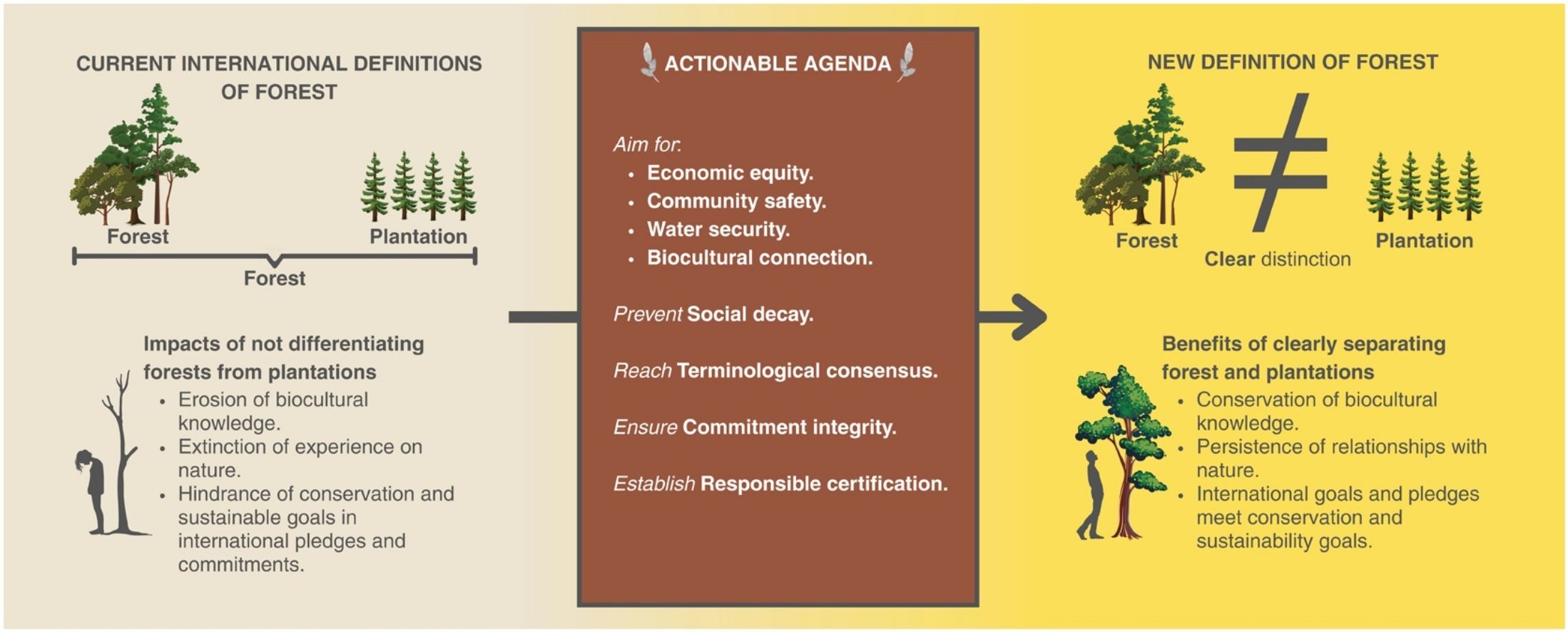 A call to restore the value of forests: refining definitions of tree ...