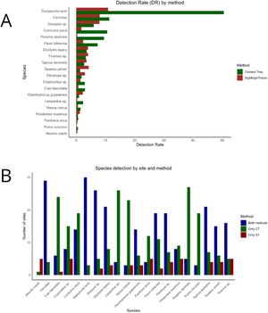 A) Detection rate by method. B) Detection by method and site. The blue bar indicates the sites where the species was detected by both methods, the green bar exclusively by camera trap (CT), and the red bar exclusively by Sightings and Tracks (ST).
