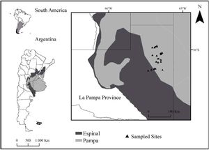 Study area and geographic location of the sample sites corresponding to Aplomado Falcon breeding territories in La Pampa, Argentina, showing political and biogeographic boundaries.
