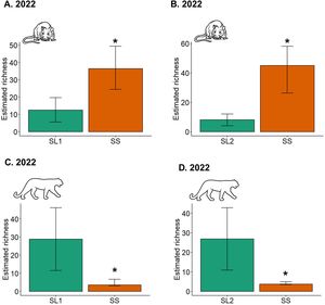 Difference in γ diversity between SL and SS patches of natural vegetation for medium and large-sized mammals in 2022. A. Estimated richness in SL1 and SS B. Estimated richness in SL2 and SS. * Significant difference between SL and SS.