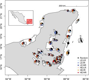 Potential species richness and endemicity proportions for the carnivorans species present in the Yucatan Peninsula