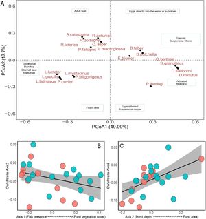 The community weighted mean (CWM) traits and their relationship with the characteristic’s ponds (PCoA1 and PCoA2). Only significant trends in CWM are presented here. In section A: PCoA of species traits, B-C: Dots in blue are ponds in organic farming, and red are ponds in conventional farming.