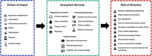 Ecosystem services, drivers of impact, and the risks of omission in environmental licensing. Examples of impact drivers and associated risks when ES are omitted from licensing processes. Adapted from IPBES Global Assessment (IPBES, 2019).