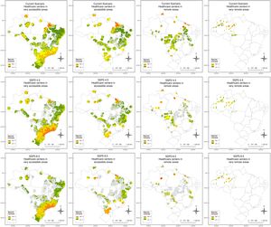 Coverage area of health units carrying elapid antivenom (SAE) considering accessibility levels defined by IBGE (columns) and different climate scenarios (rows) for the genus Micrurus. The buffers around each health unit were defined as 40 km for very remote areas, 80 km for remote areas, 100 km for accessible areas, and 120 km for very accessible areas. The color gradient from green to red indicates the number of species occurring simultaneously in the same location. Darker red ares represent higher species richness. The maximum species limit varies according to scenario and Brazilian region. Gray areas represent unsuitable genus occurrence habitats.