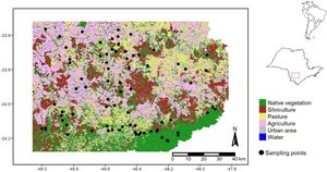 Land use and cover (MapBiomas Collection 3.1) of the central portion of the Alto Paranapanema watershed. The red shape represents the São Paulo state and the red box represents the sampling area. The dots represent the sampled points.