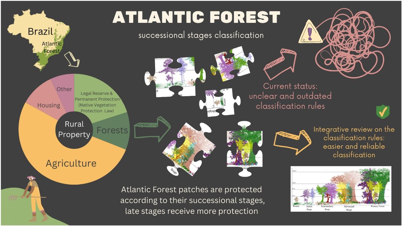 Legal framework for the classification of Brazilian Atlantic Forest (AF) successional stages: Hypothetical land cover distribution of one rural property (doughnut graph), with forests beyond the protected areas (Native Vegetation Protection Law) under the jurisdiction of the AF Protection Law. The green arrow leads to the unsolved puzzle, representing the forests before being classified into successional stages. While the impreciseness of the current classification parameters leads to a tangled ball (top right), a law integrative review can lead to a solved puzzle (right bottom).