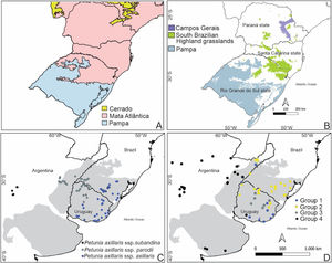 The focal region and the distribution of the two studied species. A) Delimitation of Pampa and Atlantic Forest domains. B) South Brazilian grasslands (Campos Sulinos; Overbeck et al., 2007): Pampa grasslands in Brazil, South Brazilian Highland Grasslands, and Campos Gerais. South Brazilian Highland grasslands and Campos Gerais are grassy ecosystems in the Atlantic Forest biome. C and D) Río de la Plata Grasslands in gray, according to Soriano (1992), this region included the Pampa Grasslands. C) the distribution of Petunia axillaris (Turchetto et al., 2014a), and D) Turnera sidoides haplogroups (Moreno et al., 2018).
