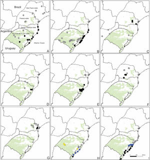 Distribution of some species growing in Campos Sulinos that presented population genetic structure. The circles represent the populations and colors of the genetic group identified for each species. Campos Sulinos region is represented in green. A) Cereus hildmannianus K.Schum. ((Silva et al., 2017); SSR data); B) Petunia integrifolia complex (Longo et al., 2014; cpDNA data); and C) Mimosa subser. Dolentes–Brevipedes complex ((Morales et al., 2015); AFLP data) presented an east/west pattern of genetic structure. Gray indicates westerns regions, and black indicates easterns regions. D) Aechmea calyculata (Goetze et al., 2016; cpDNA, SSRs nuclear, nuclear loci); E) Passiflora actinia ((Lorenz-Lemke et al., 2005); ITS data); F) Portulaca hatschbachii ((Feliciano et al., 2022); AFLP data); G) Tibouchina hatschbachii (Maia et al., 2017; cpDNA data), occurring only in SBHG presented a north/south population structuring pattern. Gray indicates east-north populations, and black indicates west-south populations. H) Calibrachoa heterophylla ((Mäder et al., 2013); cpDNA data); and I) Petunia integrifolia subsp. depauperata (Ramos-Fregonezi et al., 2015; cpDNA data) presenting a north/south pattern of population structuration in Pampa. Gray indicates the north group, black indicates the south group, blue indicates the central group, and yellow indicates the mainland group.