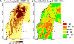 (A) Future suitability for high-altitude wetlands in the CAA for the period 2041–2070, based on the SSP1-2.6 emissions scenario. (B) Projected suitability change for the distribution of wetlands in the study area for the same period and emissions scenario.