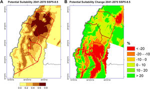 (A) Future suitability for high-altitude wetlands in the CAA for the period 2041–2070, based on the SSP5-8.5 emissions scenario. (B) Projected suitability change for the distribution of wetlands in the study area for the same period and emissions scenarios.