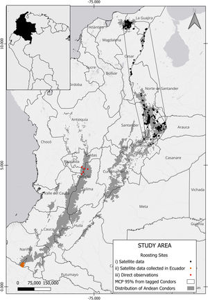 Study Area. Roosting sites identified, dots in colours represent the origin of the data; polygons correspond to Minimal convex polygons for tagged wild condors. The Gray area represents potential Andean condor distribution (Sáenz-Jiménez, 2020).