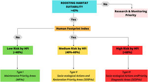 Proposed Decision Tree for Identifying Actions in Priority Conservation Areas (PCAs) for Andean Condor Conservation. The figure shows a decision tree outlining strategies for Andean Condor conservation within various PCA types. The primary focus is on addressing the intersection of suitable roosting habitats and their Human Footprint Indexes (HFIs), which pose conservation risks to the species. Green areas signify proposed actions designed for Type I PCAs, Yellow areas indicate strategies tailored for Type II PCAs, and Red areas represent approaches for Type III PCAs. The priority decisions highlighted in this figure serve as guidelines for potential actions to be undertaken for the conservation of Andean Condors across various PCAs in Colombia.