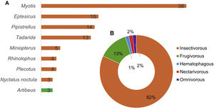 Qualitative data extracted from this literature review: A) Most studied bat genus with the number of articles. B) Food habits studied, with the percentage by food guild, highlighting the insectivorous guild in orange, published between 1971–2022.