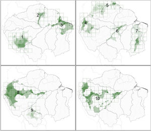 Areas of endemism for Amazonian floodplain birds, as identified by the ndm-vndm algorithm, given 2 degrees of cell size (dashed grids). Polygons in green represent the individual distributions (alpha-hull polygons) of each endemic taxa (see Table 1), and the darkest areas show where ranges are superimposed. Black lines represent the limits of major interfluvial regions within the biome and gray lines are country boundaries.