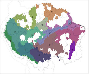 A regionalization of Amazonia based on the distributions of floodplain specialized birds. Indicator bird taxa of each region are listed in Table 2. White areas within Amazonia are cells occupied by less than 10 taxa and so were not included in the analyses. Black lines represent the limits of major interfluvial regions within the biome and gray lines are country boundaries. Similar colors between regions reflect species composition similarity.