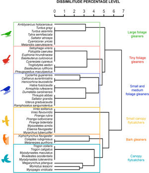 Dendrogram for the classification of insectivorous bird species based on foraging strategies, foraging strata, and body mass. Functional groups are indicated by bird icons and colored boxes at the cutoff of 46% of dissimilitude, matching the color of their functional group name.