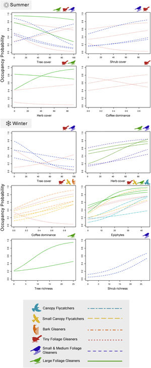 Projected response of the occupancy probability of each insectivorous bird functional group to habitat characteristics during summer and winter. Each line represents a different insectivorous bird species. The line type, the color of the line, and the bird icon depicts the functional group of the species.