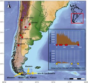 Map of the study area in southern South America. Yellow dots indicate sites where feathers samples of Andean Condors were collected for this study. Red dots represent sites sampled in previous studies. The shaded area indicates the distribution of the Andean Condor in the study area (BirdLife International, 2023). The inset shows the elevation (m.a.s.l.) of each sampled transect, with dots representing sampling sites along each elevation profile (For interpretation of the references to colour in this figure legend, the reader is referred to the web version of this article).