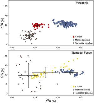 Isotopic (δ15N and δ13C) data from Patagonia (above) and Tierra del Fuego (below) used to estimate marine input into condor feathers and trophic positions. Red and yellow dots represent data from each condor site; brown and blue dots represent data from terrestrial and marine baselines, respectively. Black circle and bars denote the mean and standard deviation of each group. Each site is shown separately to highlight that the isotopic context (i.e., the range and variation of terrestrial and marine baselines) is site-specific (For interpretation of the references to colour in this figure legend, the reader is referred to the web version of this article).