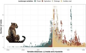 The number of visits across different distances of four land cover variables. Negative values indicate the distance within the variable, 0 is the edge, and positive values indicate the distance outside the variables. We provide figures for these variables separately in Figure C of the supplementary material.