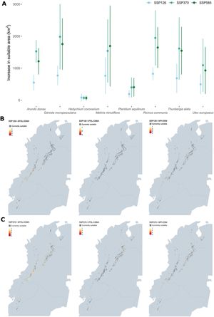 Projected shifts in the suitable area for invasive species in the Andean Páramos by mid-century. (A) The mean and standard deviation values computed for each species with predictions of the three algorithms and global circulation models are represented by points and bars. (B and C) Areas projected to gain suitability for one or more invasive species by the mid of century under SSP126 and SSP370.