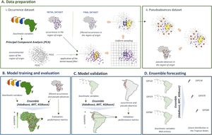 Flowchart showing the step-by-step procedure for projecting the current and future distribution of invasive plant species in the tropical Andes. (A) Data preparation included (1) the compilation and curation of species occurrences in their native regions; (2) the implementation of a Principal Component Analysis (PCA) performed on the environmental variables in the native region; (3) the application of a kernel-based filter, which splits the environmental space into two subspaces associated with either the environmental conditions more suitable for the species (in yellow) or those associated with less or unsuitable environmental conditions; and (4) uniform sampling of pseudo-across a sampling grid of a chosen resolution superimposed on the 2-dimensional environmental space. (B) Model training and evaluation included calibration of three algorithms and evaluation of their individual and ensemble performance using a set of metrics. (C) Model validation included evaluation of model transferability (i.e., performance outside the training region) using occurrences registered in the tropical Andes. (D) Ensemble prediction involved using the ensemble of three algorithms to project the distribution of each invasive plant species under three scenarios of future climate change.