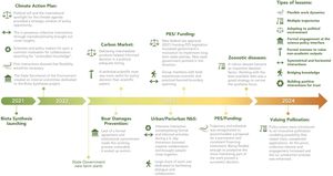 Timeline showing the temporal sequence of the syntheses and respective learnings arising from them. PES: Payment for Environmental Services; NbS: Nature-based Solution.