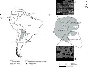 Study area in the Paraguayan Dry Chaco showing the 22 sampling forest corridors (b) delimited with a gray line is the Dry Chaco of South America (a, b). Inset maps (c, d) shows an example of acoustic recordings sites (circled dots) installed within a forest corridor, and the forest cover obtained from MapBiomas Project - Collection 1.0 (Annual Land Use Land Cover Maps of Paraguay, 2019). Black background indicates closed-canopy dry forest and gray background indicates nonforest areas consisting primarily of cattle pastures (c, d).