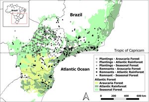 Location of Atlantic Forest plantings and remnant forests included in this study. Plantings and remnants lying outside of the Atlantic Forest official limits in the map are small enclaves of Atlantic Forest in other floristic regions. Adapted from Almeida et al. (2024).