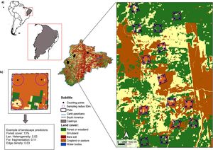 (a) Location of the study area in the Cariri Paraíbano showing land covers and subregion of Caatinga, Brazil, South America, (b) study areas and sampling units (plots) distribution of the radius and points of avifauna sampling in the plots.