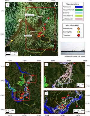 Study area and monitoring locations. (A) Volta Grande do Xingu and Espelho region. Diamond symbols represent the locations of the permanent plots and red circles are the monitored fish nursing areas (Piracemas). The yellow diamonds upstream of the Pimental dam represent the flooded forests control plot location, and orange diamonds are the plots in the area with reduced water, downstream of the dam. (B–D) Zoom into the area of reduced water flow. Background maps were obtained from satellite images of Planet Basemap for the period of July 2021. Color classifications in the legend refer to areas that have transitioned their water regimes between March 1984 and October 2015 (Pekel et al., 2016; data obtained from https://global-surface-water.appspot.com/download). Layout processed in QGIS.