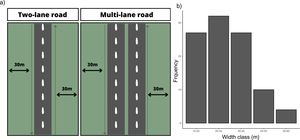 (a) Schematic view of the two-lane and multi-lane roads, along with the buffer width allocated on each road verge side. (b) Frequency distribution of the widths of the areas covered with native vegetation along the roads in the states MG and GO (FD) based on remote sensing analysis of 100 randomly selected road sections.