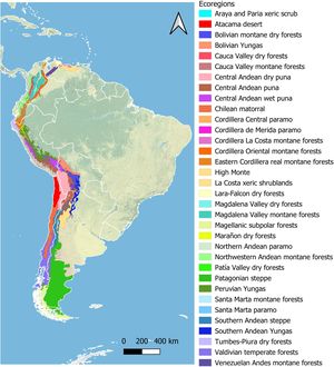 Map showing the different Andean ecoregions considered in the study.