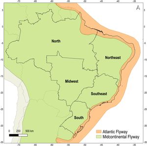 Migratory shorebird flyways in the five Brazilian geographic regions: the Atlantic Flyway (in orange) and the Midcontinental Flyway (in green). Flyways geographic limits were adapted from the Shorebird Conservation Initiatives of the Americas (https://shorebirdflyways.org/) and represent the combined geographic distribution of shorebird species that are present in this area.