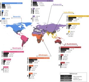 Potential distribution map divided into biogeographic realms (Dinerstein et al., 2017), each of which is shown in a different colour. The climatically suitable area for Nicotiana glauca at present is shown in grey. The bar charts show, in colour, the total area of each realm, the extent of biodiversity hotspots, and protected areas within it; and, in shades of grey, the extent of climatically suitable habitats for N. glauca under different scenarios within these total areas. All areas are expressed in km2.