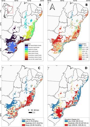 Spatial distribution of land-use and topographic variables across the Brazilian Atlantic Forest: (A) ecoregions, (B) overall anthropization (%), (C) slope classes (%), and (D) elevation classes (m).
