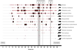 Spatial distribution of roadkill records (red dots) and hotspot zones (black stripes) identified in the 2D HotSpot analysis along the highway for the most recorded taxa on crossings and roadkill surveys. The gray shaded zones correspond to the location and extension of mitigation clusters. The bottom five species did not have enough data to perform the hotspot analysis.