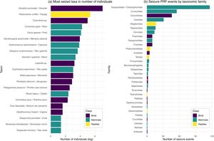 Number of (a) individuals seized (in log-scale) among the 20 most hunted taxa and (b) PRF seizure events by targeted taxonomic order throughout Brazil between 2017-2024.