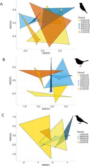 Nonmetric multidimensional scaling (NMDS) based on Bray-Curtis dissimilarity matrix, representing the composition of bird communities between the different sampling periods. Each point represents a point-count and the colors and symbols indicate the different periods. The polygons delimit the groupings of samples from each period, closer points indicate more similar communities. (A) Grassland birds; (B) Shrub birds; (C) Forest birds. Caption: 4YBWVR (four years before woody vegetation removal), 1YBWVR (one year before woody vegetation removal), 1MAWVR (one month after woody vegetation removal), 2MAWVR (two months after woody vegetation removal), 3MAWVR (three months after woody vegetation removal), 4MAWVR (four months after woody vegetation removal), 1YAWVR (one year after woody vegetation removal), 2YAWVR (two years after woody vegetation removal).