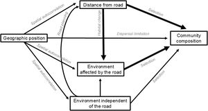 Causal diagram showing expected relationships between species composition, distance from road, environment, and geography across local communities under the influence of a road. Boxes represent variables; arrows represent causal effects; and labels on arrows represent processes involved in the effect. The total effect of the road is its direct effect plus its indirect effect on the environment.