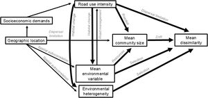 Causal diagram showing expected relationships between mean compositional dissimilarity, mean community size, road use intensity, and environmental and geographic factors across metacommunities on different sections of a road. Boxes represent variables; arrows represent causal effects; and labels on arrows represent processes involved in the effect. The total effect of the road is its direct effect plus its indirect effects through mean community size and the environment.