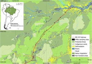 Location of the PPBio sampling sites in the BR 319 highway, an extensive road in the Brazilian Amazonia. (This figure is the only one that should be printed in colors).