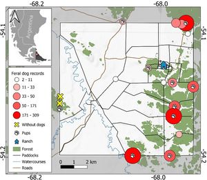Study area in Isla Grande, southern Patagonia, Argentina. Circles represent detection frequency and paw symbols identify locations with pup presence.