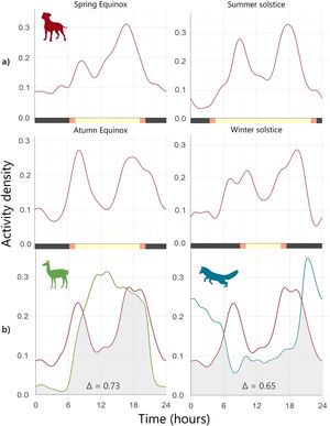 (a) Daily activity pattern of feral dogs across seasons. Bottom bar indicates the daily cycle of sunlight (yellow shading), twilight (red shading), and darkness (black shading). (b) Annual activity overlap between feral dogs (red line) with guanacos (green line) and chilla foxes (blue line). Overlap between activity patterns is shaded grey, and delta (Δ) indicates the coefficient of overlapping (For interpretation of the references to colour in this figure legend, the reader is referred to the web version of this article).