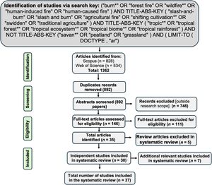 PRISMA flow diagram of the stages of the systematic review, which included article identification, duplication removal, screening, exclusion, and final paper selection.