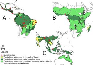 Geographic distribution of 37 studies (red dots) on the desired and undesired effects of fire induced by slash-and-burn agriculture in the Neotropics (A), Africa (B), and Southeast Asia and Oceania (C). Ecoregions are based on the categorization proposed by Loidi et al. (2023).