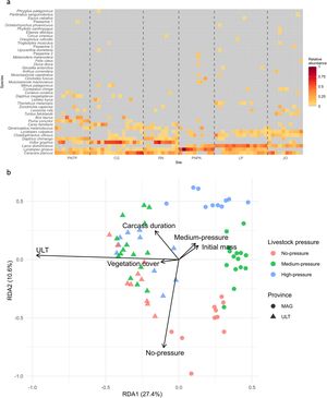 Species composition and environmental correlates of vertebrates using carrion. (a) Heat map showing species observed using carrion at each carcass. The x-axis represents carcass grouped by sampling location, and the y-axis lists species. Each cell indicates the relative abundance of a species at a given carcass; dotted lines delimit sampling locations. (b) Redundancy analysis (RDA) biplot showing relationships between environmental variables and species composition across carcasses (n = 70). Points represent individual carcasses, coloured according to livestock pressure, and shaped according to province. Arrows indicate the direction and strength of environmental predictors, and proximity between points denotes similarity in species composition.